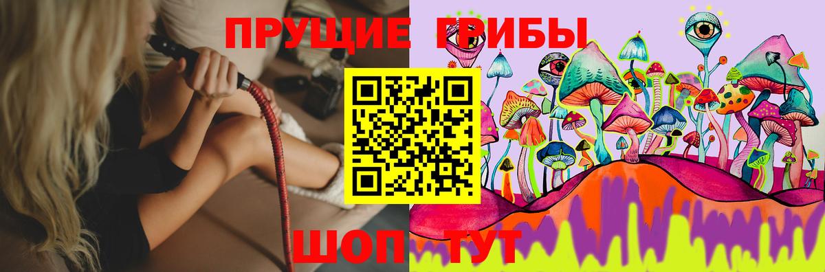 закладка  Псилоцибиновые грибы мицелий  Вход с VPN  Выкса 